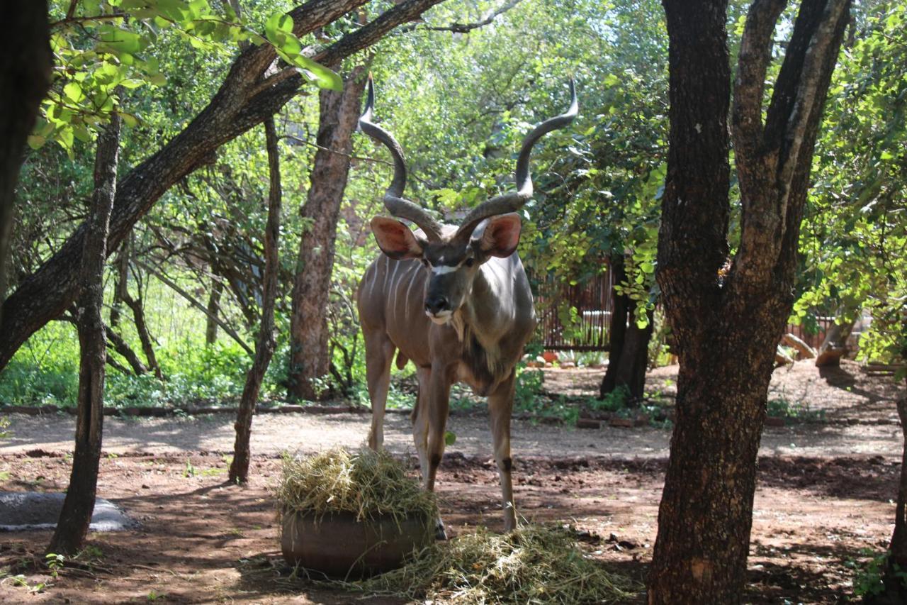 Bush Break @ 3990 Marloth Park Villa Ngoại thất bức ảnh