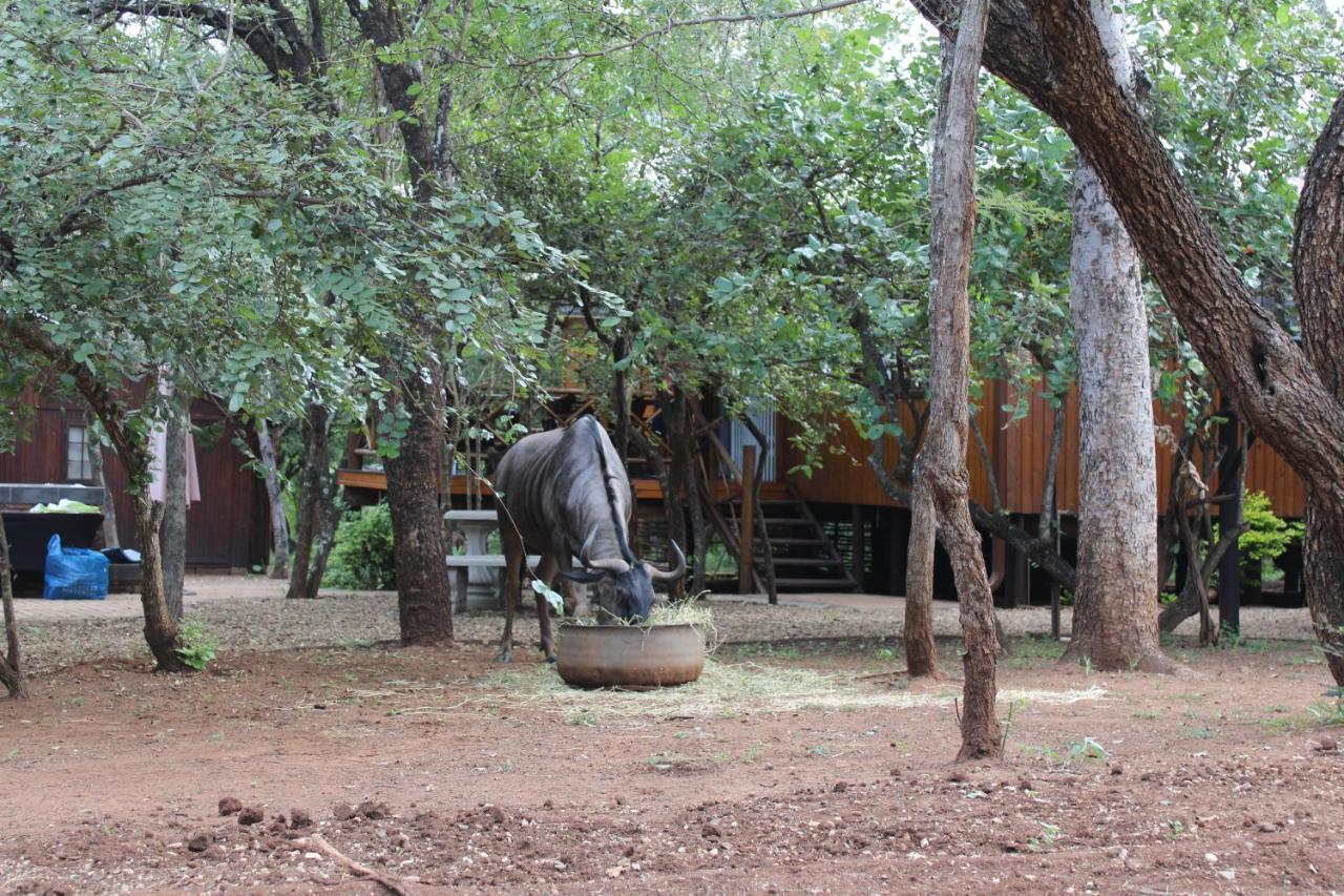 Bush Break @ 3990 Marloth Park Villa Ngoại thất bức ảnh
